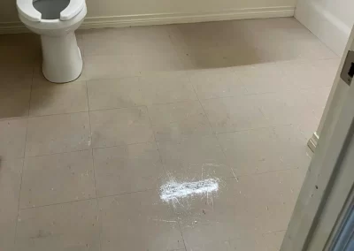 Building Cleaning Services