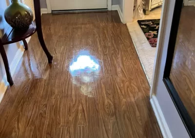 Janitorial Companies