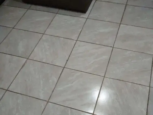 Tile Cleaning